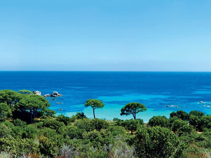 Porto-Vecchio (Corsica, Frankrijk) - Foto 1