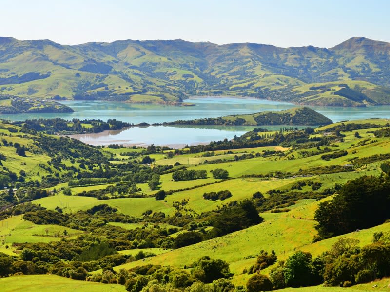 Akaroa / Christchurch (Neuseeland) - Bild 1