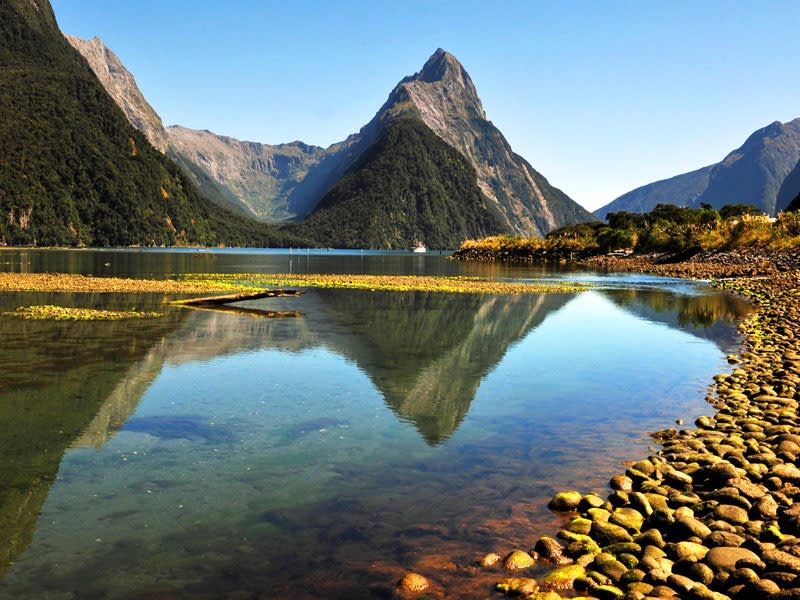 Fjordland National Park (Neuseeland) - Bild 1