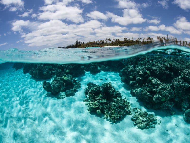 Lifou (Neukaledonien) - Bild 1