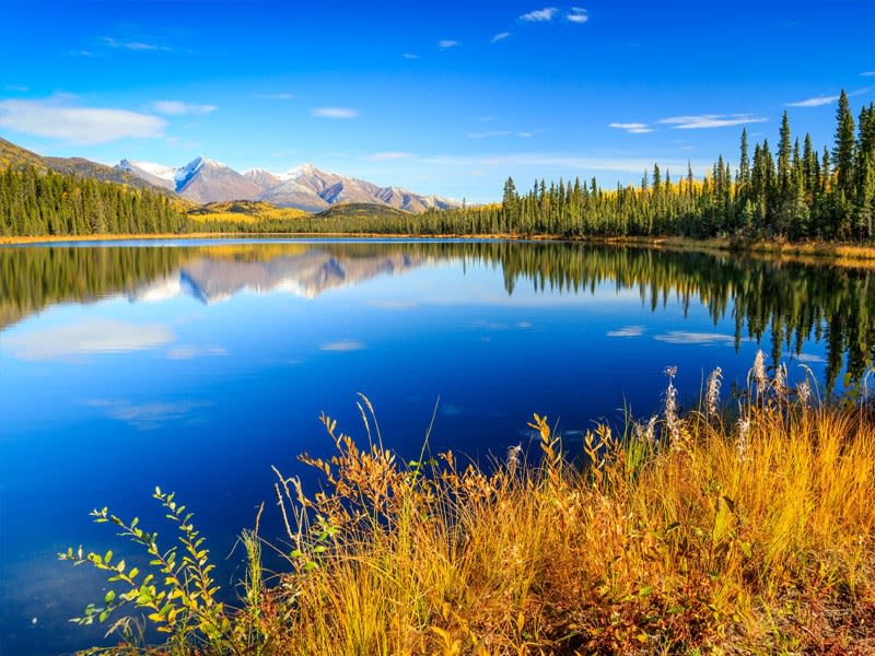 Wrangell (Alaska, USA) - Bild 1