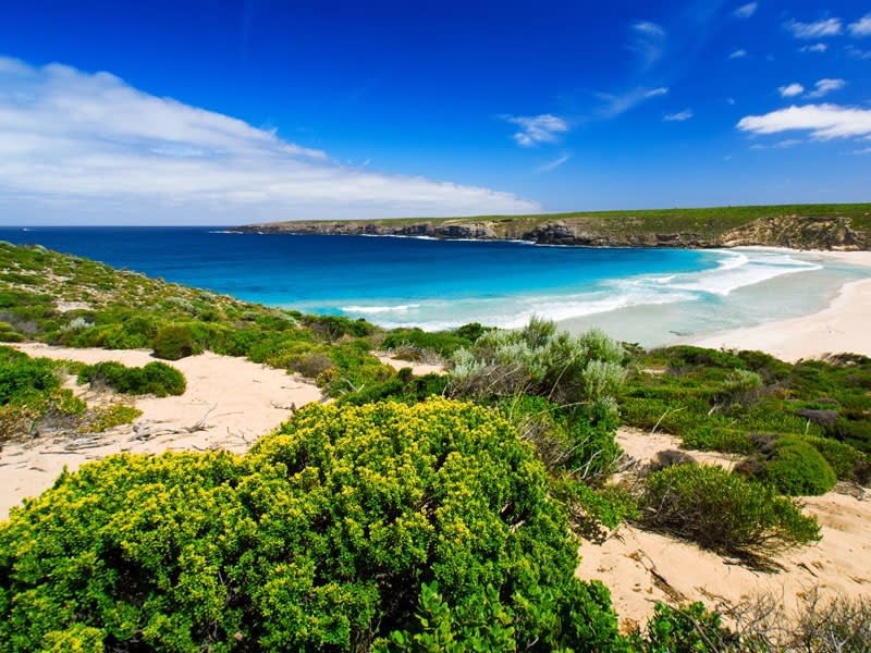 Kangaroo Island (South Australia, Australien) - Bild 1