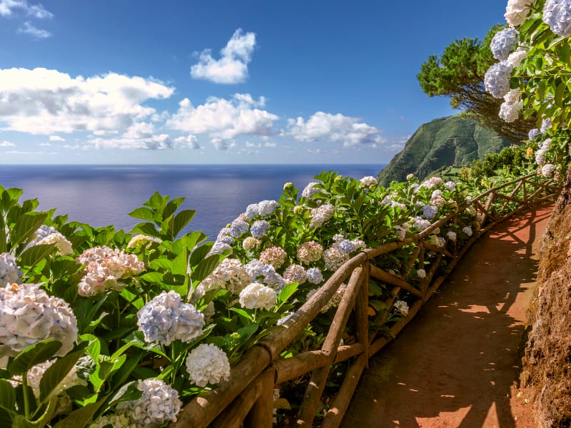 Azoren (Portugal) - Foto 1