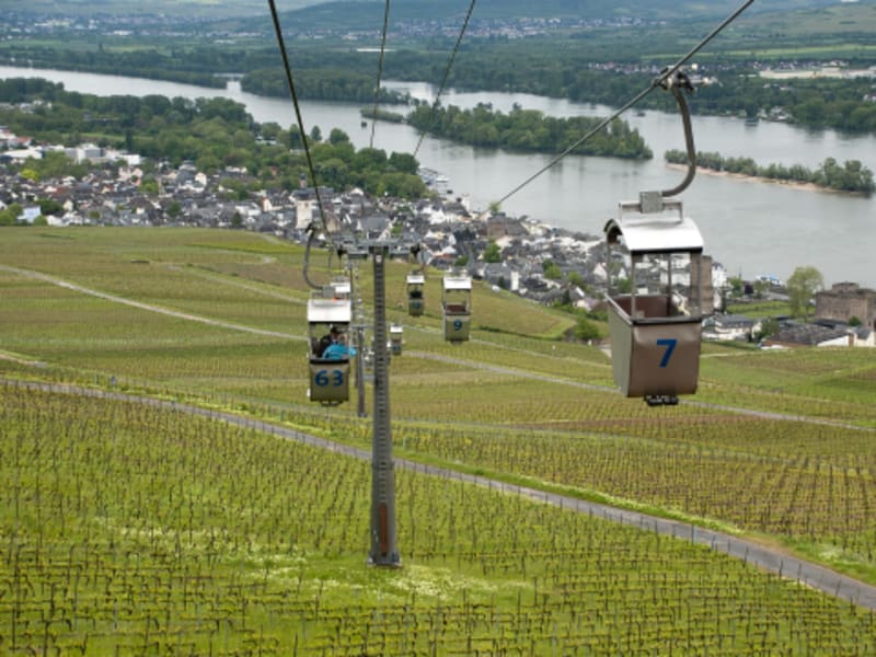 R&uuml;desheim (Deutschland) - Bild 1