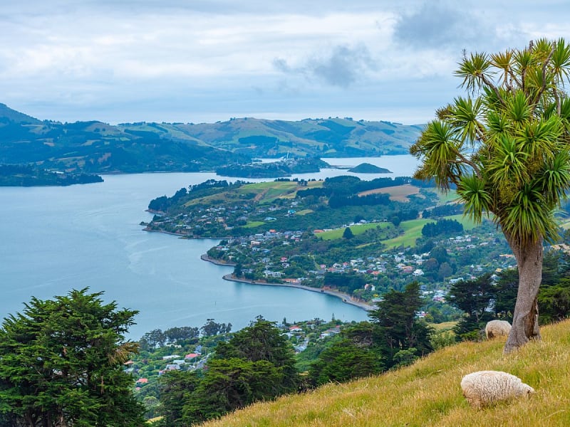 Dunedin, Neuseeland &ndash; Bunte D&auml;cher schmiegen sich an die gr&uuml;nen H&uuml;gel der Otago-Halbinsel