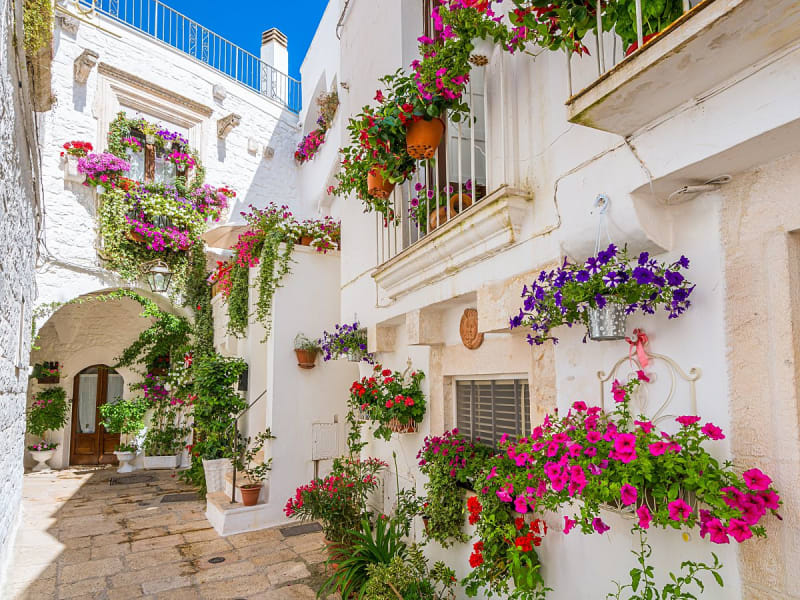 Brindisi, Italien &ndash; Wei&szlig;e Altstadtgasse geschm&uuml;ckt mit bunten Blumen