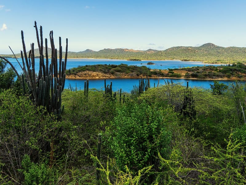 Bonaire, Niederl&auml;ndische Antillen - Kakteenlandschaft am t&uuml;rkisblauen See