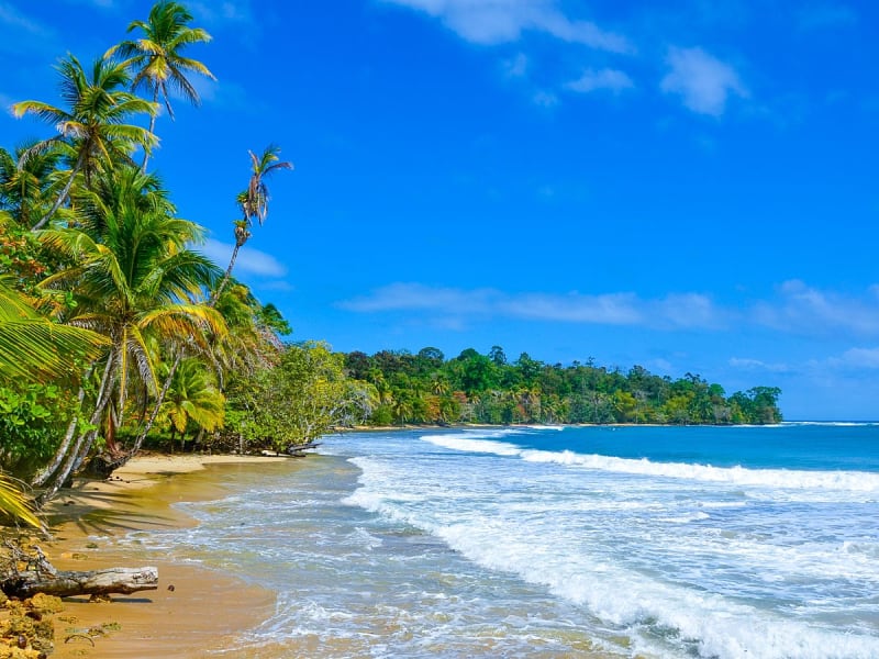 Bocas del Toro, Panama &ndash; Strand mit sanften Wellen und Palmen am Ufer