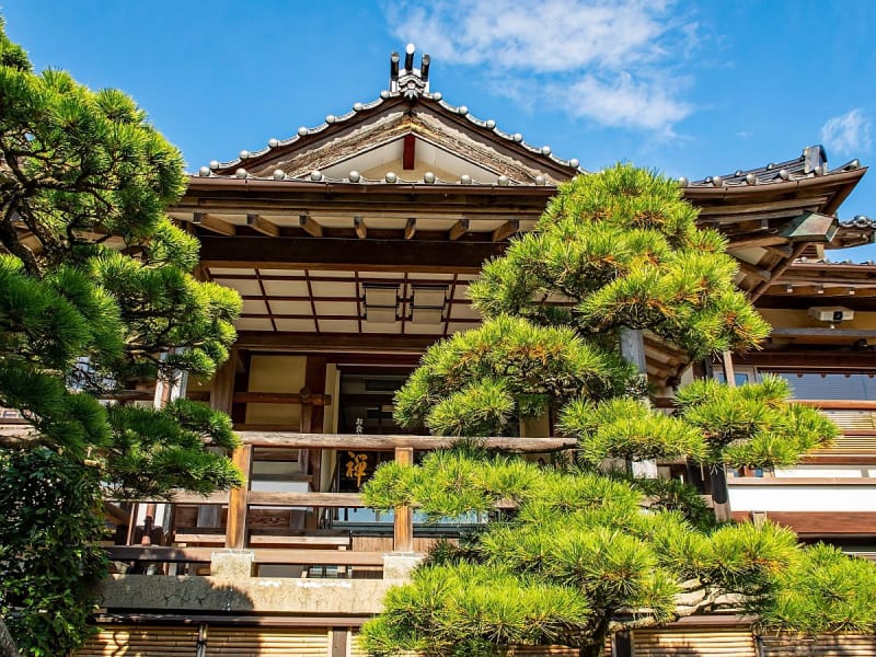Sakaiminato, Japan &ndash; traditionelles Holzgeb&auml;ude hinter gestutzten Kiefern