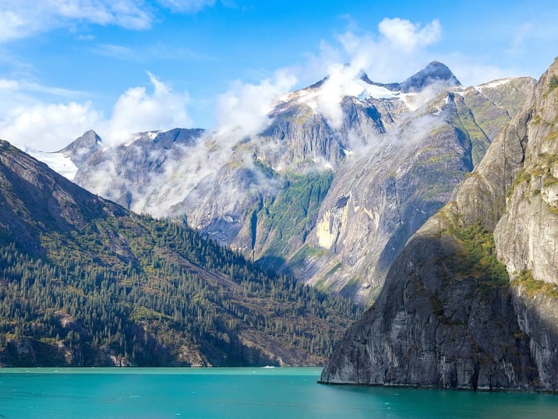 Haines, Alaska, USA &ndash; Steil aufragende Felsw&auml;nde am t&uuml;rkisgr&uuml;nen Fjord mit Nebel