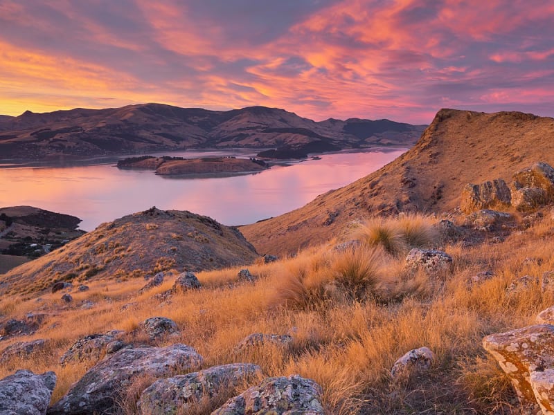 Lyttelton Harbour, Neuseeland &ndash; Abendstimmung mit Felsen und goldenem Gras