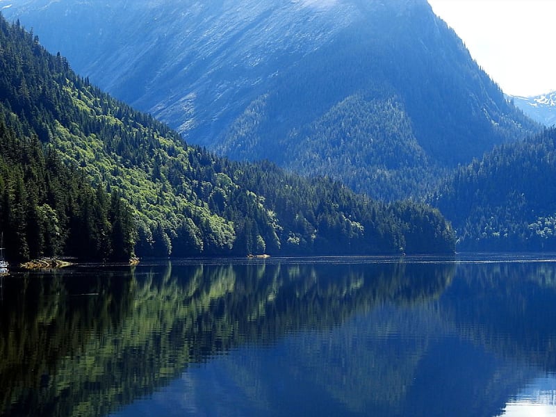 Prince Rupert, Kanada &ndash; Spiegelglatter Fjord mit dicht bewaldeten Bergh&auml;ngen