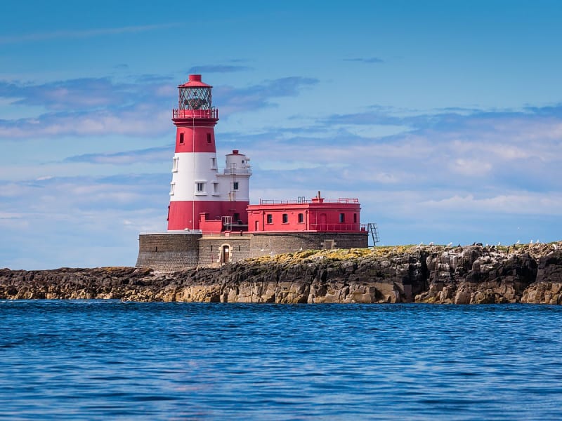 Farne Islandes (Ecosse) - Image 1