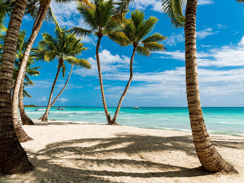 Santo Domingo, Dominikanische Republik - Palmenstrand mit wei&szlig;em Sand und t&uuml;rkisblauem Karibikmeer