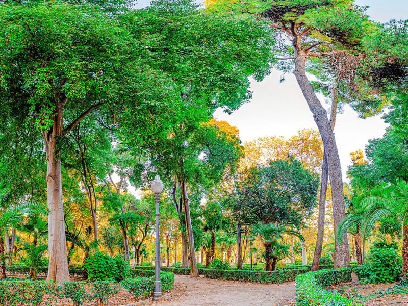 Castell&oacute;n de la Plana (Castell&oacute;n), Spanien &ndash; Gr&uuml;ner Stadtpark mit Palmen, hohen B&auml;umen und Spazierwegen.