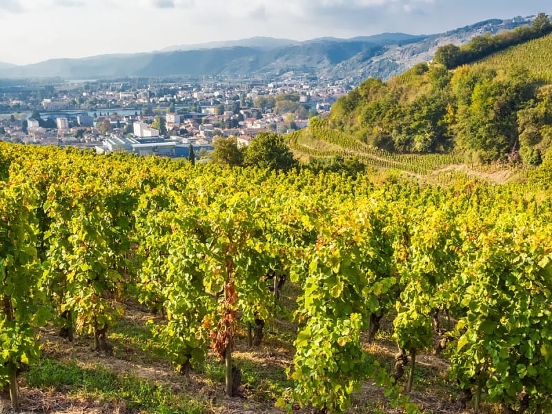 Tain-l'Hermitage (Fran&ccedil;a) - Bild 1