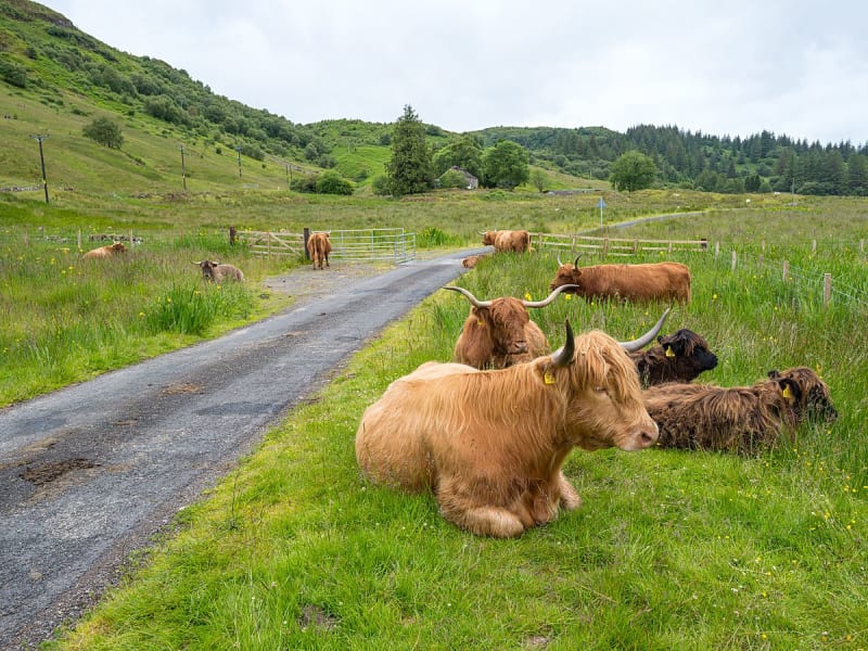 Oban (Schottland) - Bild 1