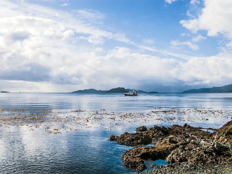 D&eacute;troit de Magellan (Chili) - Image 1