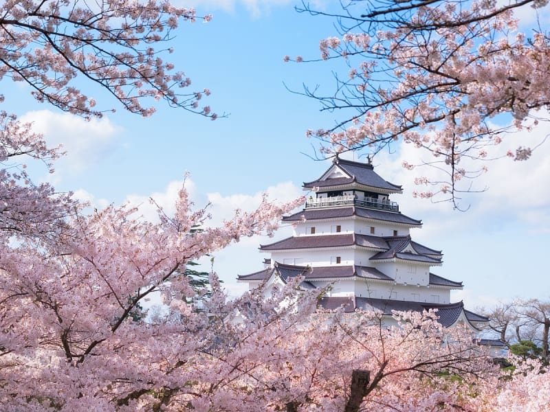 Tsuruga, Japan &ndash; Japanese castle surrounded by blooming cherry trees