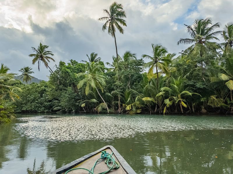 Portsmouth, Dominica &ndash; Paseo en barco por un r&iacute;o tropical entre palmeras
