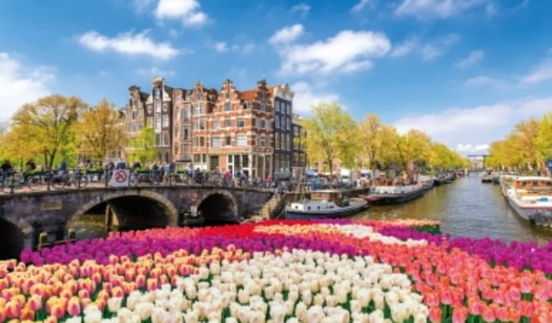 Holland und Belgien intensiv