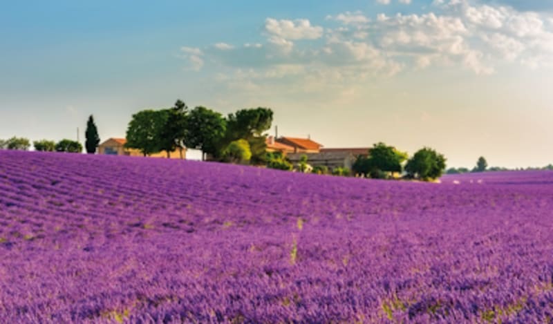 Route M&eacute;diterran&eacute;e