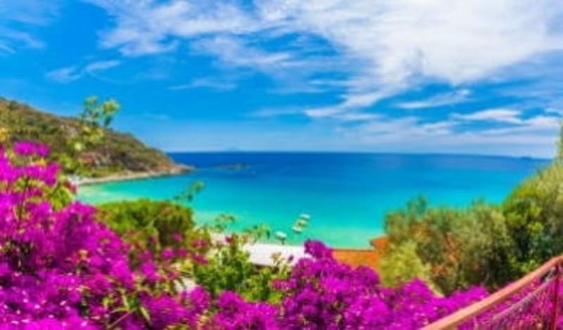 AIDA Last-Minute-Specials