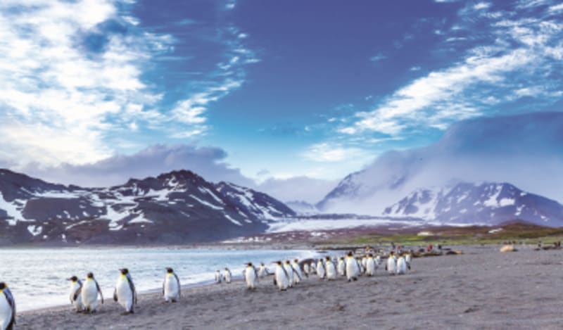 Mit NATIONAL GEOGRAPHIC die Welt entdecken