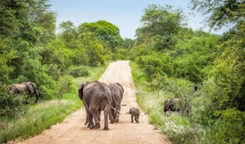 Natur, Abenteuer, Entspannung: Afrikas Vielfalt