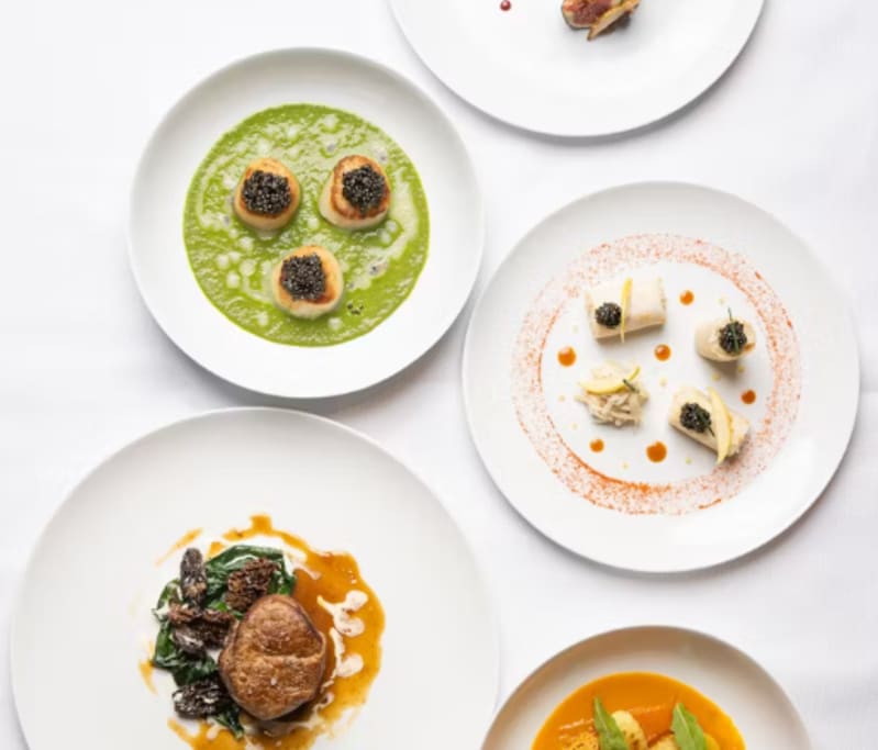 REFINADA GASTRONOM&Iacute;A