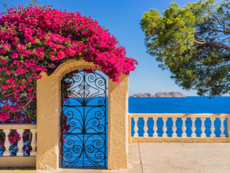 Mediterr&aacute;neo cl&aacute;sico