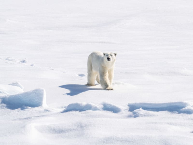 Ponant: Boek nu uw 2027 cruise met tot wel 30% korting!