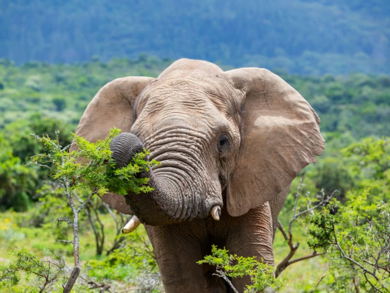 Azamara: tot $750 boortegoed cadeau op uw cruise!