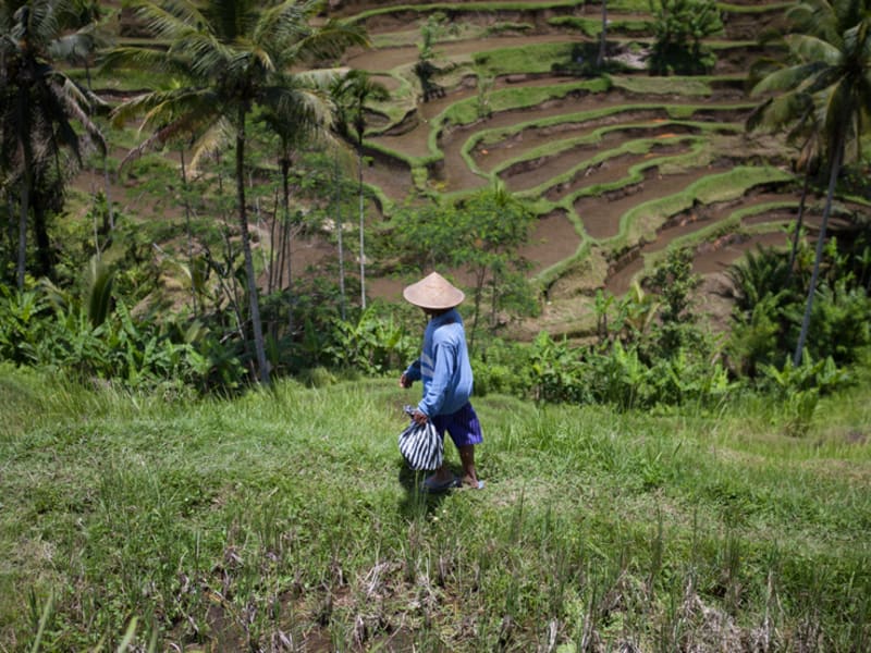 Azamara: tot $750 boortegoed cadeau op uw cruise!