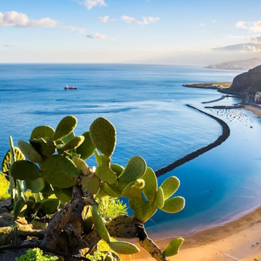 Cruise Aanbod cruisetravel
