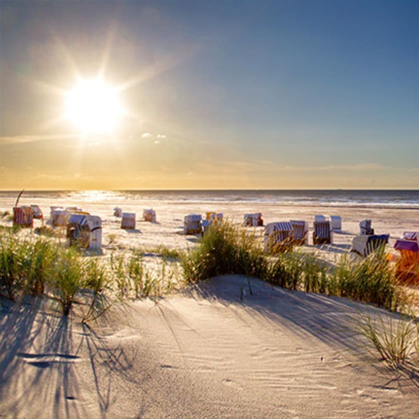 Cruise Aanbod cruisewinkel