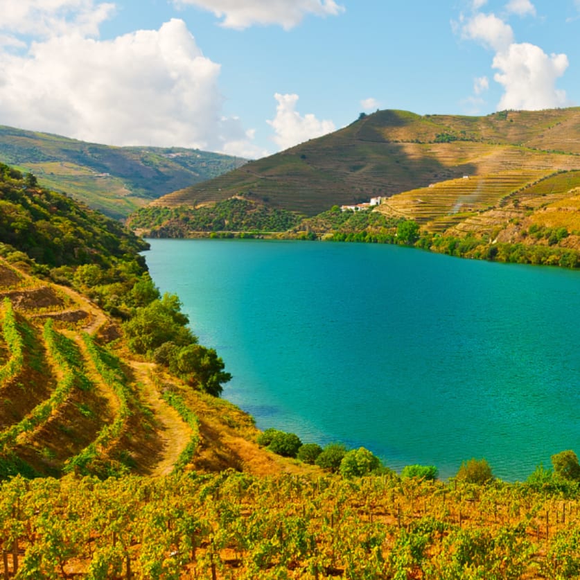 Cruise Aanbod cruisetravel