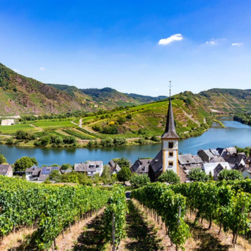 Cruise Aanbod zeetours