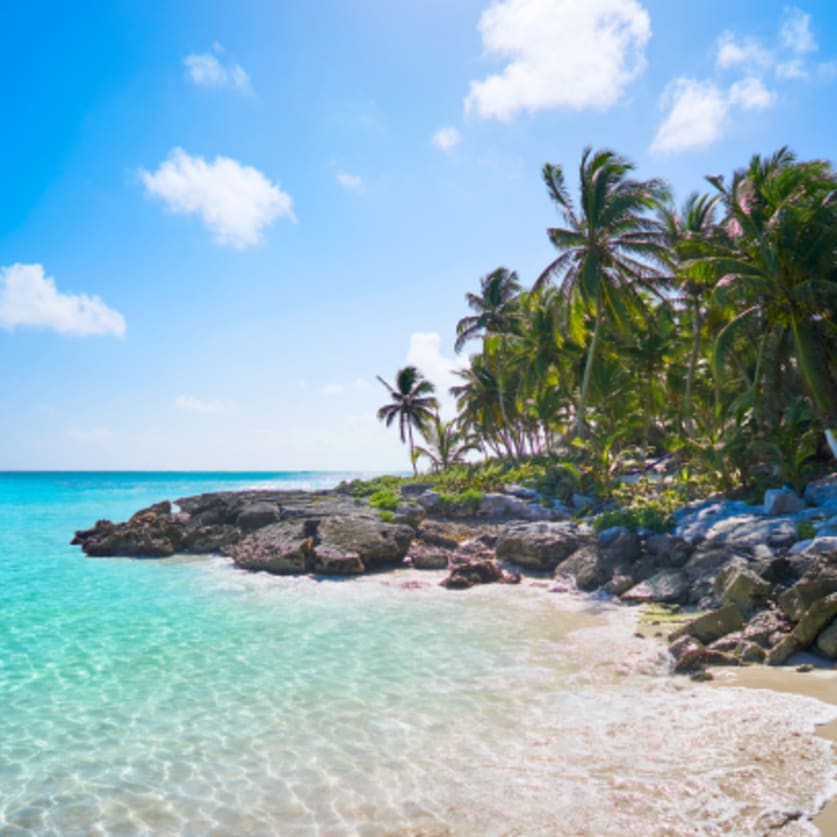 Crucero Ofertas wondercruiseses