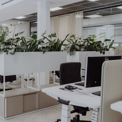 Ein heller Arbeitsplatz mit Pflanzen im Hintergrund