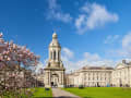 Dublin, Irland – Trinity College mit dem Campanile und blühendem Magnolienbaum im Frühling