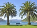 Picton, Neuseeland – unter Palmen entspannen mit Panorama auf Fjord und Berge