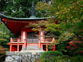 Toba, Japan - Japanischer Tempel zwischen Bäumen in ruhiger Parklandschaft