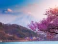 Toba, Japan - Kirschblüten rahmen Blick auf Berg und See mit kleiner Stadt