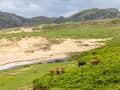 Colonsay, Écosse – Baie de sable entre collines et côte rocheuse