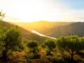 Pinhão, Portugal – Dourovallei met terrasvormige wijngaarden in avondlicht
