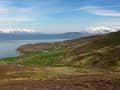 Grímsey, Island – Grüne Küstenhänge vor schneebedeckter Bergkulisse