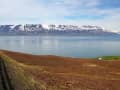 Grímsey, Island – Weite Küstenlandschaft mit grünen Hängen und verschneiten Gipfeln