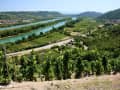 Tournon, França – Vale do Ródano com vinhedos e colinas verdes