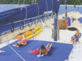  -  - Bild 1